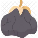 Wolfberry  Icon