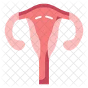 Womb Reproductive Organ Gestation Organ Icon