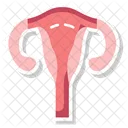 Womb Reproductive Organ Gestation Organ Icon