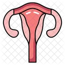 Womb Reproductive Organ Gestation Organ 아이콘