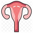 Womb Reproductive Organ Gestation Organ Icône
