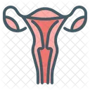 Womb Female Uterus Icon