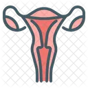 Womb Female Uterus Icône