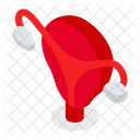 Womb  Icône