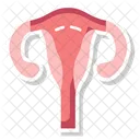 Womb Reproductive Organ Gestation Organ Icon