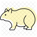 Wombat Mammal Burrow Icon