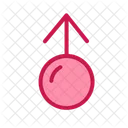 Women Symbol Women Female 아이콘