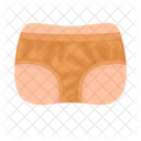 Bikini Underwear Woman Icon