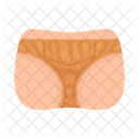 Bikini Underwear Woman Icon