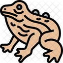 Wood Frog Frog Amphibia Icon