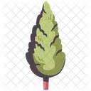 Wood Branch Cypress Icon