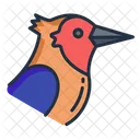 Wood Picker Birds Bird Icon