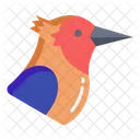 Wood Picker Birds Bird Icon