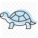 Wood Turtle Icon