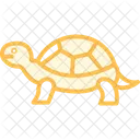 Wood Turtle Icon