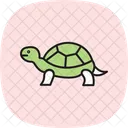 Wood Turtle Woodturtle Reptile Icon