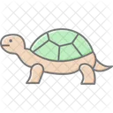 Wood Turtle Woodturtle Reptile Icon