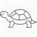Wood Turtle Woodturtle Reptile Icon