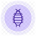 Woodlouse Insect Crustacean Icon