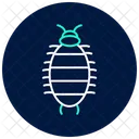Woodlouse Insect Crustacean Icon