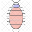 Woodlouse Insect Crustacean Icon