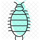 Woodlouse Insect Crustacean Icon