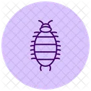 Woodlouse Insect Crustacean Icon