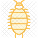 Woodlouse Insect Crustacean Icon
