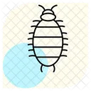 Woodlouse Insect Crustacean Icon