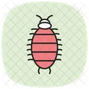 Woodlouse Insect Crustacean Icon