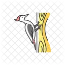 Woodpecker Animal Wildlife Icon