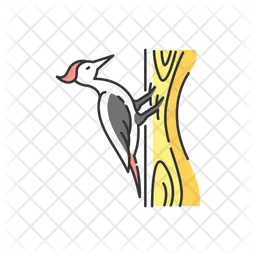 Woodpecker  Icon