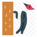 Woodpecker  Icône