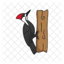 Woodpecker Bird Animal Icon