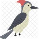 Woodpecker  Icon