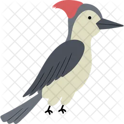 Woodpecker  Icon