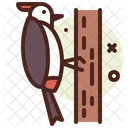 Woodpecker Icon