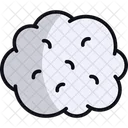 Wool  Icon