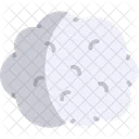 Wool Sheep Farm Icon