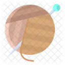 Awoolen With Needles Ball Needle Icon