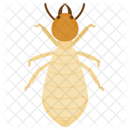 Worker termite  Icon