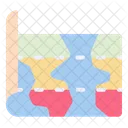 World Map Geography Map Icon