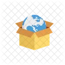 Box Carton World Icon
