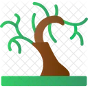 World Tree Forest Natural Icon
