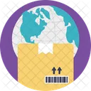 Worldwide Delivery Service Icon