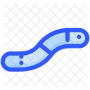 Worm Spring Animal Icon