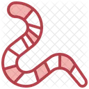 Worm  Icon