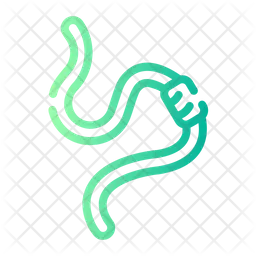 Worm  Icon