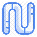 Worm Insect Bug Icon