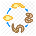 Worm Lifecycle Parasite Icon